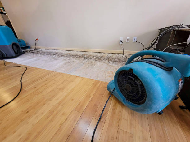 Professional Basement Flood Cleanup technician working in Sterling, CO